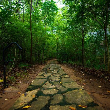 C B S Resort Udawalawe Kültér fotó