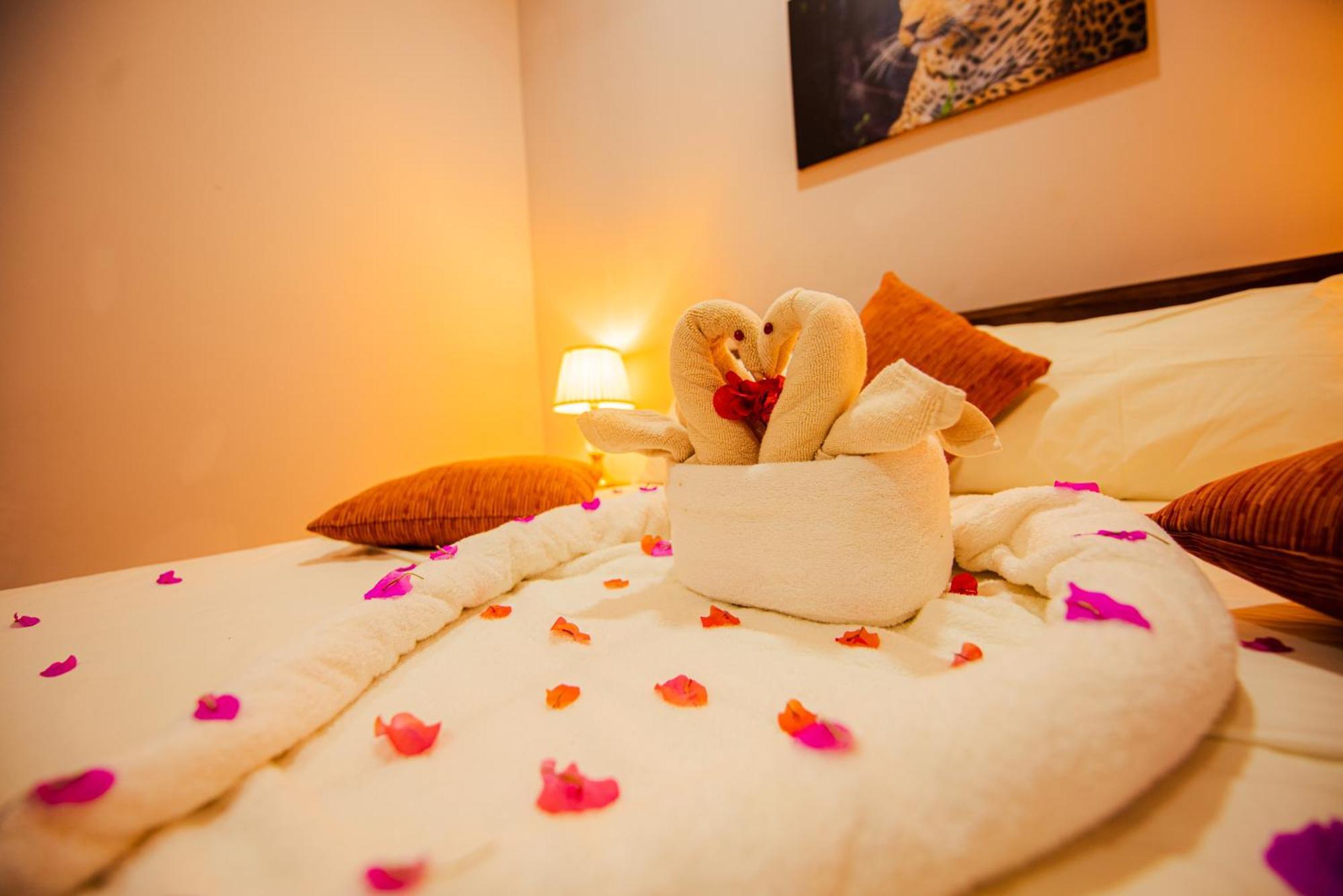 C B S Resort Udawalawe Kültér fotó